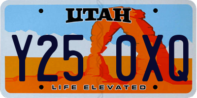 UT license plate Y250XQ