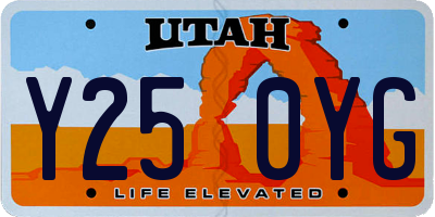 UT license plate Y250YG
