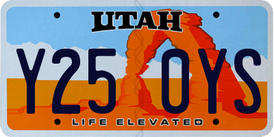 UT license plate Y250YS