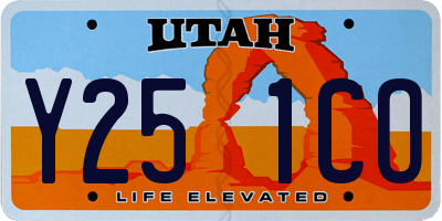 UT license plate Y251CO