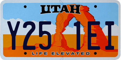 UT license plate Y251EI
