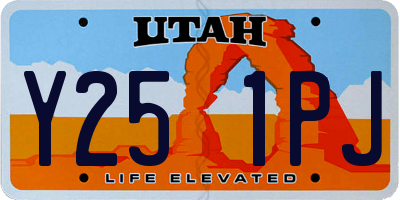 UT license plate Y251PJ