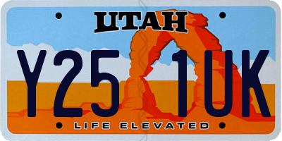 UT license plate Y251UK