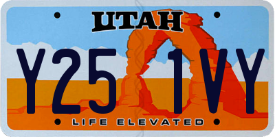 UT license plate Y251VY