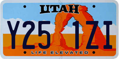 UT license plate Y251ZI