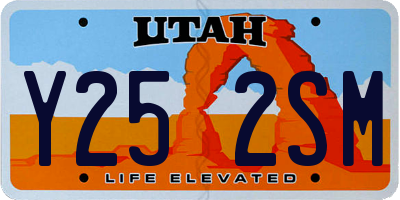 UT license plate Y252SM