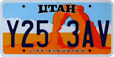 UT license plate Y253AV