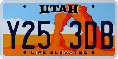 UT license plate Y253DB