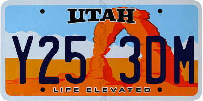 UT license plate Y253DM
