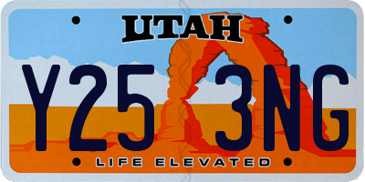 UT license plate Y253NG