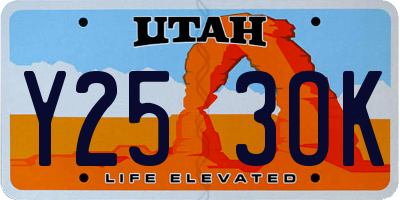 UT license plate Y253OK