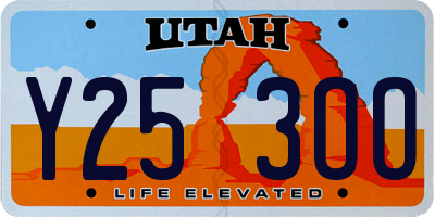 UT license plate Y253OO
