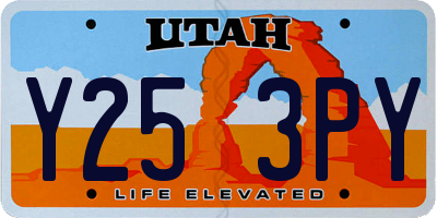 UT license plate Y253PY