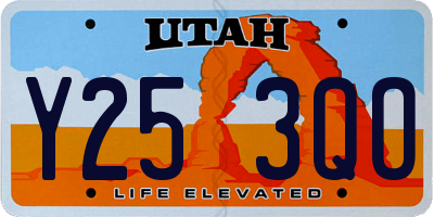 UT license plate Y253QO