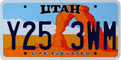 UT license plate Y253WM