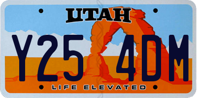 UT license plate Y254DM