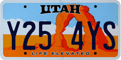 UT license plate Y254YS