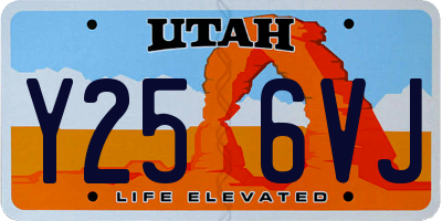 UT license plate Y256VJ
