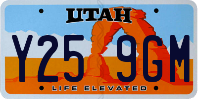 UT license plate Y259GM