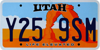 UT license plate Y259SM