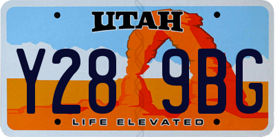 UT license plate Y289BG