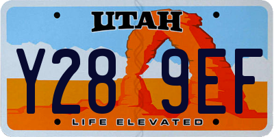 UT license plate Y289EF