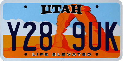UT license plate Y289UK