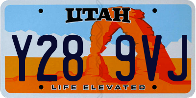UT license plate Y289VJ