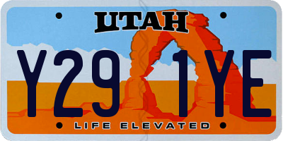 UT license plate Y291YE