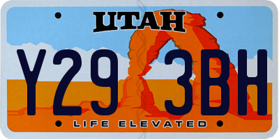 UT license plate Y293BH