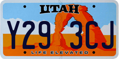 UT license plate Y293CJ