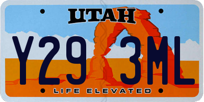 UT license plate Y293ML
