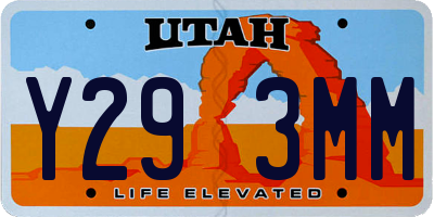 UT license plate Y293MM