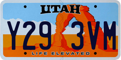 UT license plate Y293VM