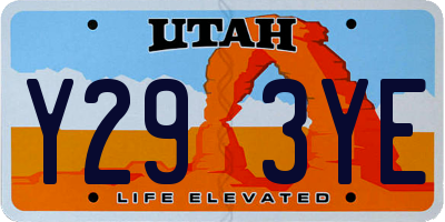 UT license plate Y293YE