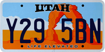 UT license plate Y295BN