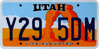 UT license plate Y295DM