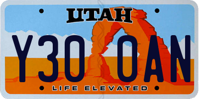 UT license plate Y300AN