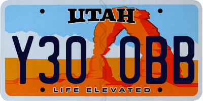 UT license plate Y300BB