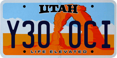 UT license plate Y300CI