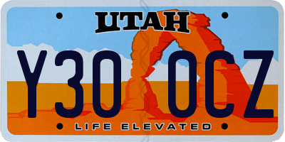UT license plate Y300CZ