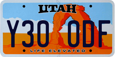 UT license plate Y300DF