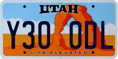 UT license plate Y300DL