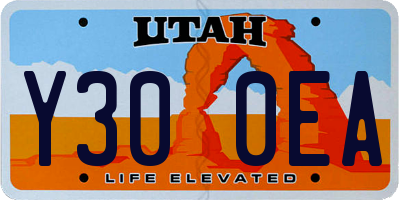 UT license plate Y300EA