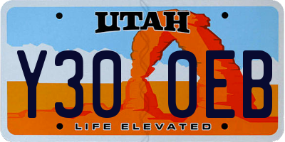 UT license plate Y300EB