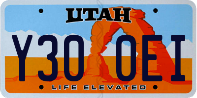 UT license plate Y300EI