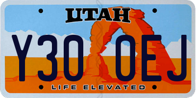 UT license plate Y300EJ