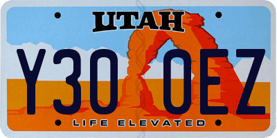 UT license plate Y300EZ