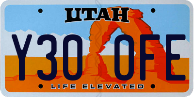 UT license plate Y300FE