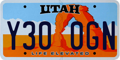 UT license plate Y300GN